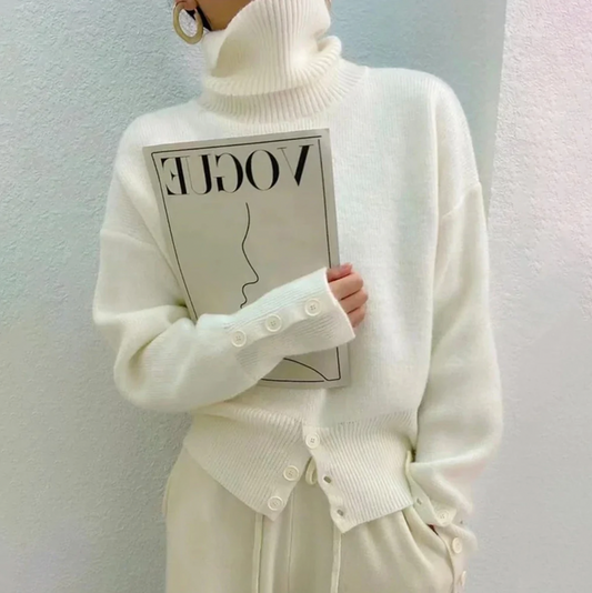 Diana Plain Turtleneck Sweater