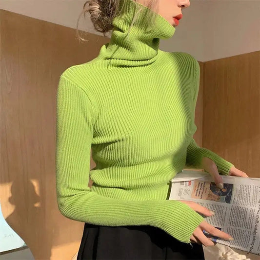 Gia Turtleneck Sweater