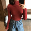 Amara Turtleneck Sweater