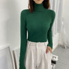 Amara Turtleneck Sweater