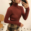 Amara Turtleneck Sweater