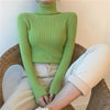 Amara Turtleneck Sweater