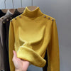 Salvois Turtleneck Sweater