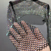 Cleo Shiny Party Net