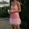 Mira Sequins Feather Mini Dress