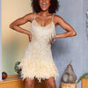 Mira Sequins Feather Mini Dress