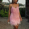 Mira Sequins Feather Mini Dress