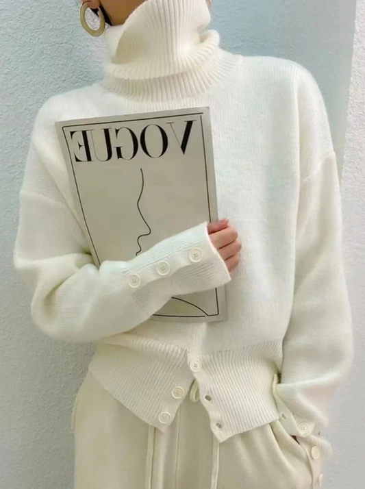 Diana Plain Turtleneck Sweater