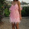 Mira Sequins Feather Mini Dress