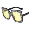 Amara Oversized Sunglasses